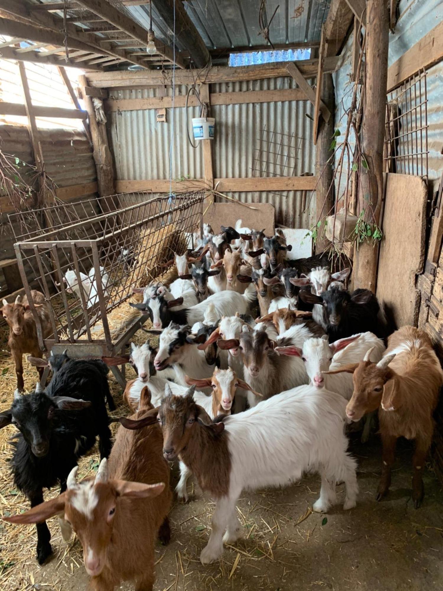 B&B Helga'S Agricampeggio Seùlo Zewnętrze zdjęcie
